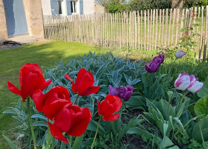 Les Pensions du Joslin